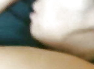 Elvia 