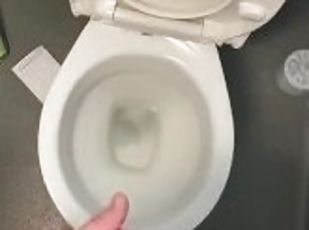 Toilet Wank